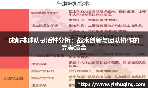 成都排球队灵活性分析：战术创新与团队协作的完美结合