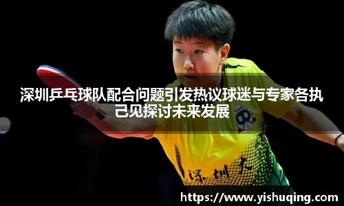 深圳乒乓球队配合问题引发热议球迷与专家各执己见探讨未来发展